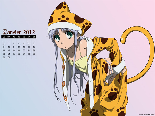 Le wallpaper calendrier de janvier 2012
