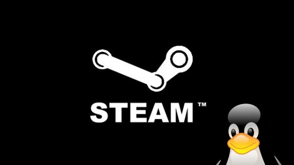 Steam s’ouvre sur Linux