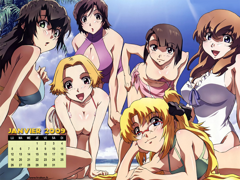 Le wallpaper calendrier de janvier 2009