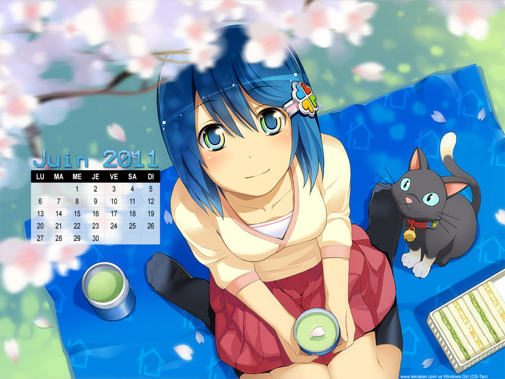 Le wallpaper calendrier de juin 2011