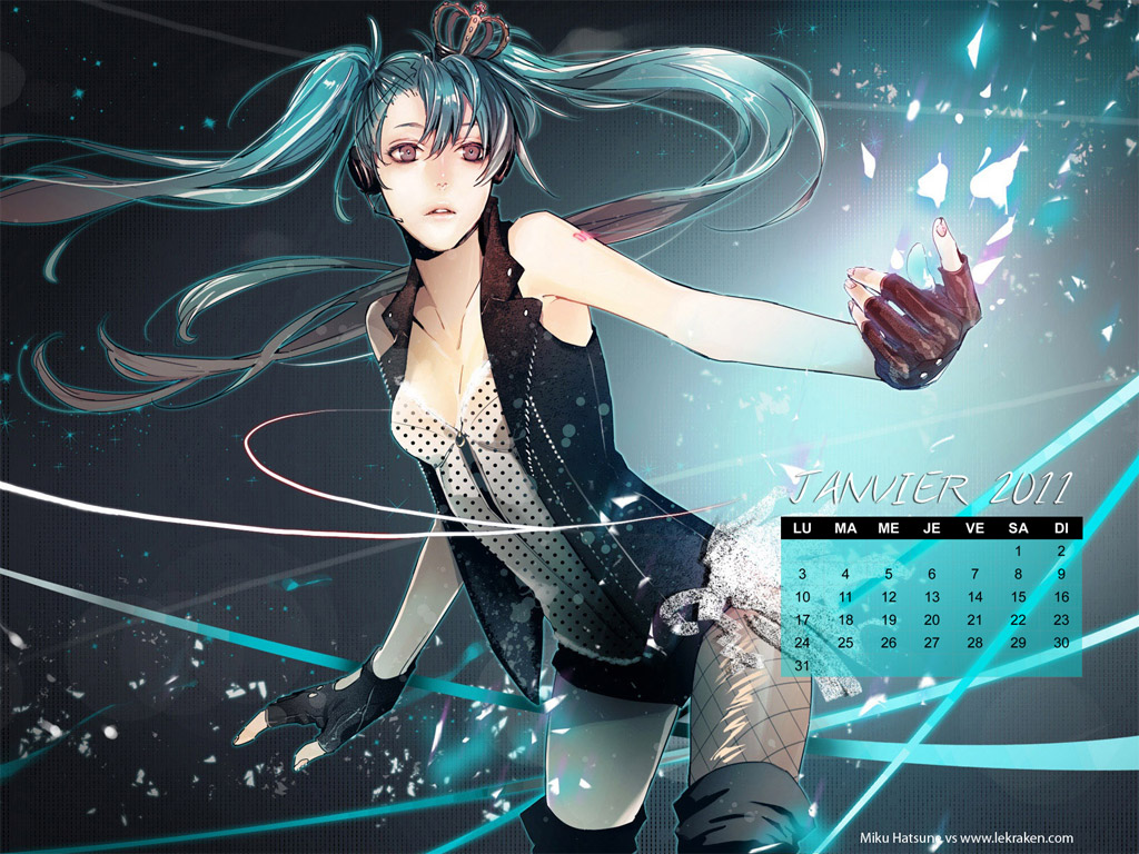 Le wallpaper calendrier de janvier 2011